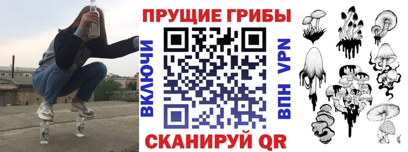 Псилоцибиновые грибы мицелий  Ярославль 