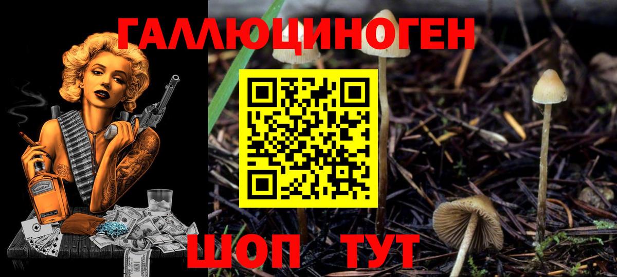 Ярославль  Псилоцибиновые грибы MAGIC MUSHROOMS  Вход с VPN  магазин  наркотиков  Псилоцибиновые грибы прущие грибы 